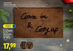 Lidl Wycieraczka kokosowa 40 x 60 cm Livarno Home oferta