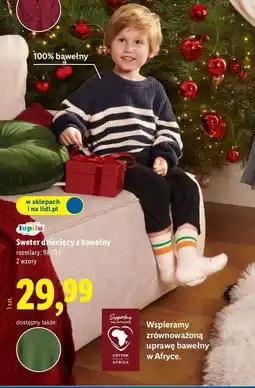 Lidl Sweter dziecięcy 98-128 Lupilu oferta