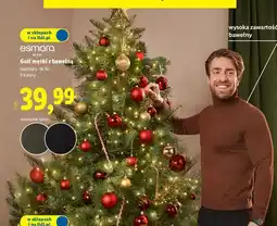 Lidl Golf męski z bawełną m-xl Esmara oferta