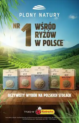 Biedronka Ryż brązowy długoziarnisty Plony Natury oferta