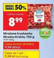 Biedronka Truskawki bez szypułek Mroźna Kraina oferta