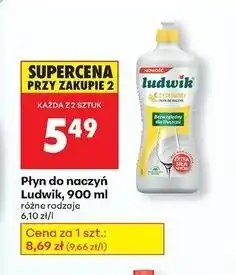 Biedronka Płyn do mycia naczyń cytrynowy Ludwik oferta
