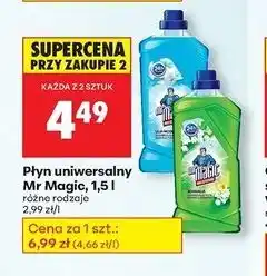 Biedronka Płyn uniwersalny lilia wodna Mr Magic oferta