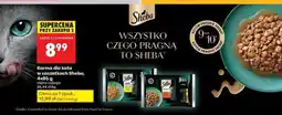 Biedronka Karma dla kota z wołowiną w sosie Sheba Selection oferta