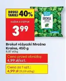Biedronka Brokuł różyczki Mroźna Kraina oferta