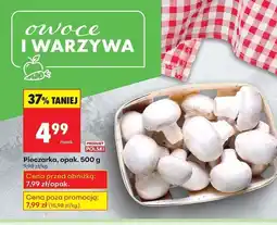 Biedronka Pieczarki oferta