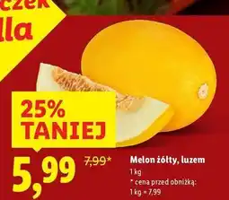 Lidl Melon żółty oferta