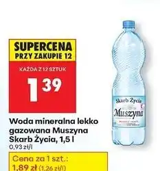Biedronka Woda lekko gazowana Muszyna Skarb Życia oferta