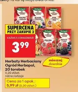 Biedronka Herbata zimowy sekret Herbapol Herbaciany Ogród oferta