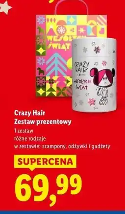 Lidl Zestaw w pudełku Crazy Hair oferta