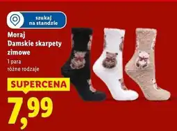 Lidl Skarpety damskie ocieplane długie Moraj oferta