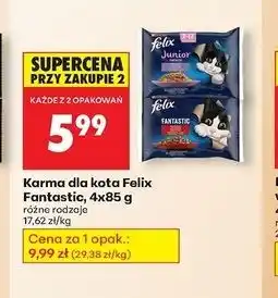 Biedronka Karma dla kota wołowina i kurczak Purina Felix Fantastic oferta