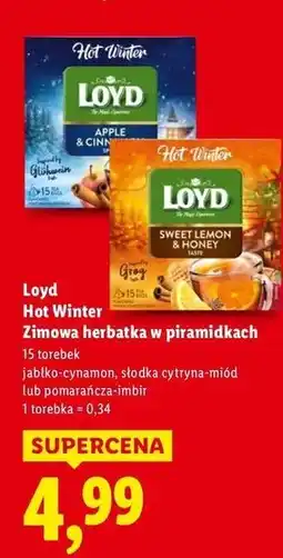 Lidl Herbata hot winter orange & ginger Loyd Tea The Magic Experience oferta