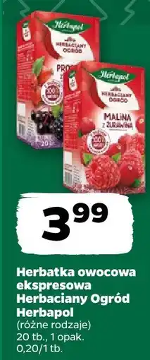 Netto Herbatka owocowa ekspresowa Herbaciany Ogród Herbapol oferta
