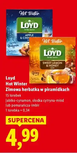 Lidl Herbata zimowa w piramidkach Hot Winter jabłko-cynamon Loyd oferta