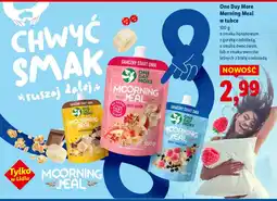Lidl Morning Meal w tubce o smaku owoców leśnych z białą czekoladą One Day More oferta