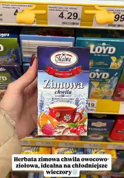Dino Herbata zimowa chwila owocowo-ziołowa Malwa oferta