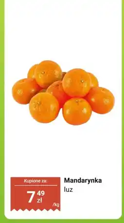 Dino Mandarynka luz Dino oferta
