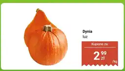 Dino Dynia luz Dino oferta