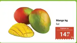 Dino Mango luz Dino oferta