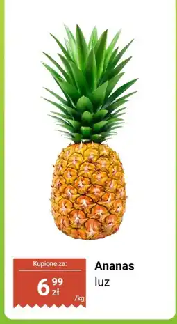 Dino Ananas luz Dino oferta