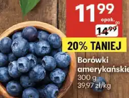 Delikatesy Centrum Borówki amerykańskie Delikatesy Centrum oferta
