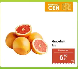Dino Grapefruit luz Dino oferta