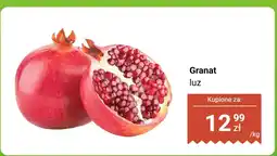 Dino Granat luz Dino oferta