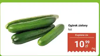 Dino Ogórek zielony luz Dino oferta