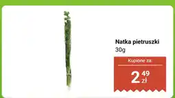Dino Natka pietruszki Dino oferta