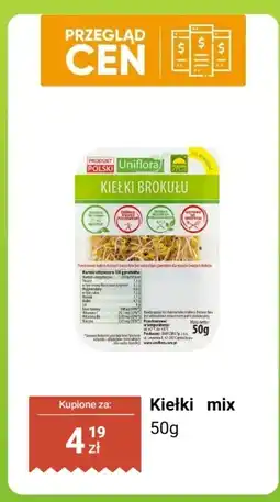 Dino Kiełki mix Uniflora oferta