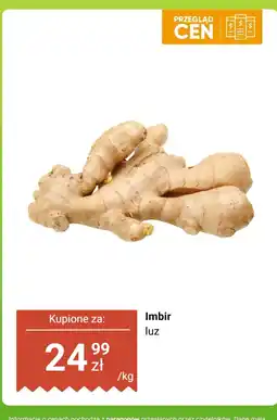 Dino Imbir luz Dino oferta