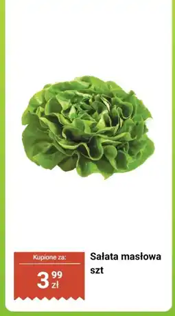 Dino Sałata masłowa 1 szt. Dino oferta