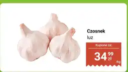 Dino Czosnek luz Dino oferta