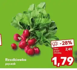 Kaufland Rzodkiewka pączek Kaufland oferta