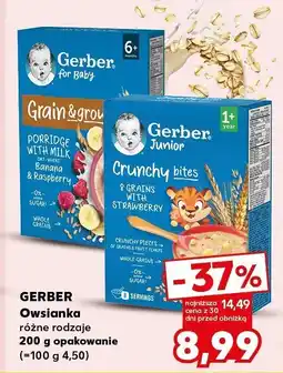 Kaufland Owsianka 200 g, różne rodzaje Gerber oferta