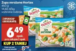 Delikatesy Centrum Zupy mrożone Hortex, wybrane rodzaje oferta