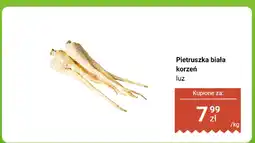 Biedronka Pietruszka biała korzeń luz Biedronka oferta
