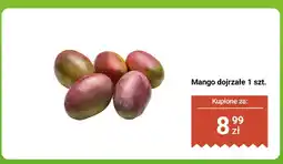 Biedronka Mango dojrzałe 1 szt. Biedronka oferta