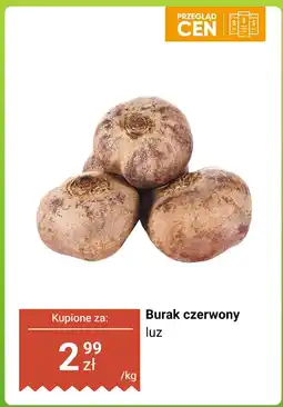 Biedronka Burak czerwony luz Biedronka oferta