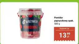 Biedronka Pomidor papryczkowy opak. 500 g Warzywniak oferta