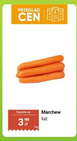Biedronka Marchew luz Biedronka oferta