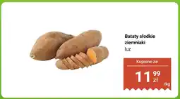 Biedronka Bataty słodkie ziemniaki luz Biedronka oferta