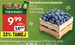 Delikatesy Centrum Borówki amerykańskie Delikatesy Centrum oferta