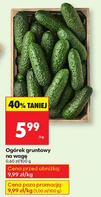 Biedronka Ogórek oferta