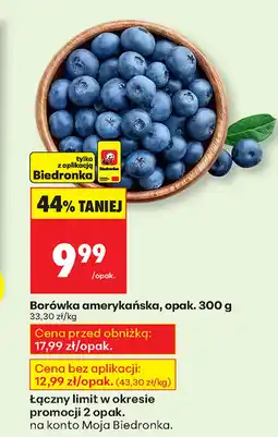 Biedronka Borówka amerykańska Biedronka oferta