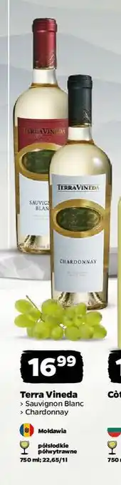 Wino chardonnay Terra Vineda