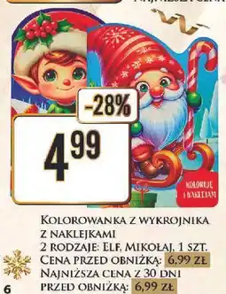 Dino Kolorowanka elfy i wróżki oferta