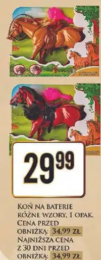Dino Koń na beterie oferta