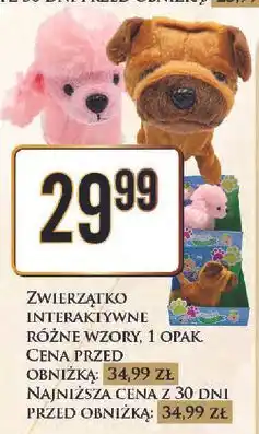 Dino Zwirzątko interaktywne oferta